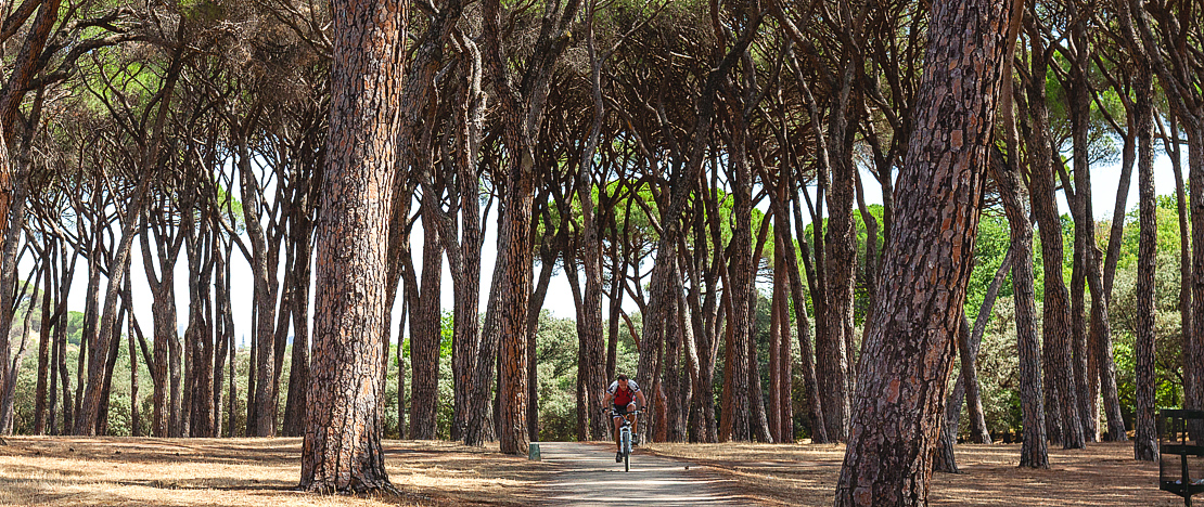 Ciclista in un sentiero della Casa de Campo di Madrid