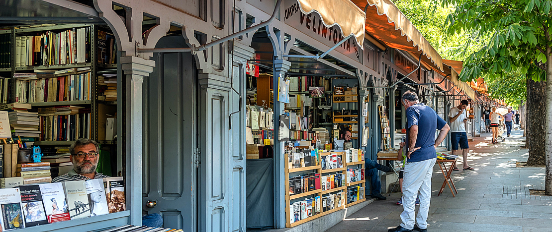 Dettaglio delle librerie nella cuesta de Moyano a Madrid