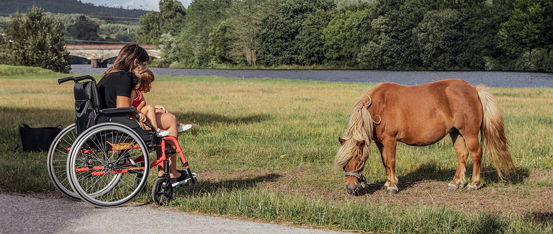 Accessibility in nature Accessibility in nature