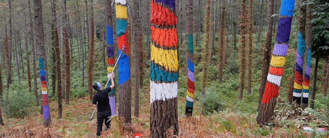 Oma Forest (Bizkaia, Basque Country)
