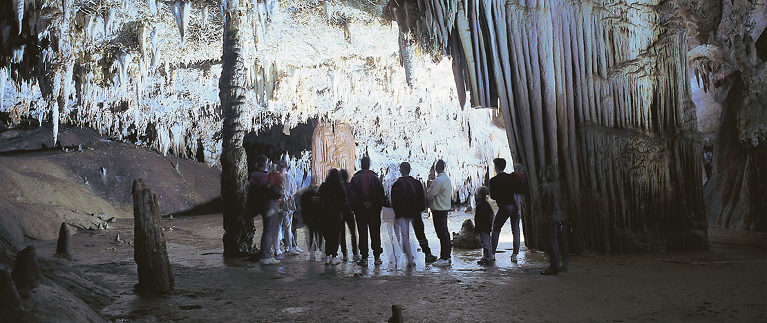 Grotta di Pozalagua, Biscaglia