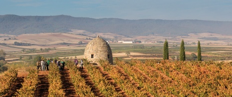 Turystyka winiarska w Guardaviñas en Badarán, La Rioja Turystyka winiarska w Guardaviñas en Badarán, La Rioja