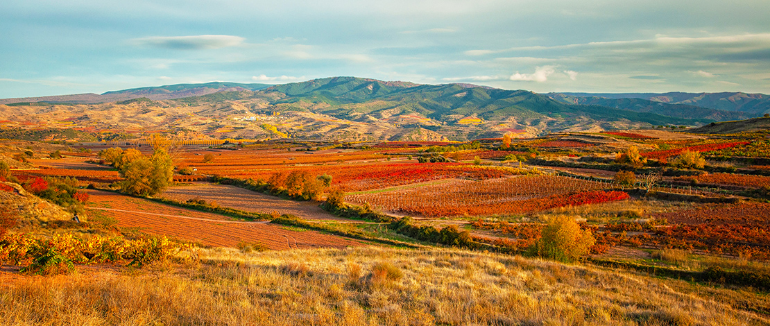 Die Route der Weinberge von La Rioja Die Route der Weinberge von La Rioja