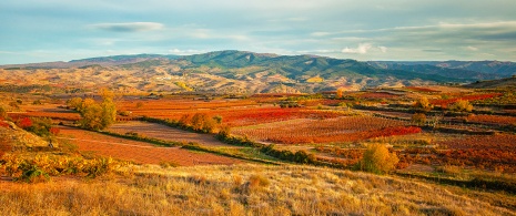 Die Route der Weinberge von La Rioja Die Route der Weinberge von La Rioja