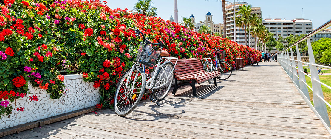 Bicycle on a bridge in the Turia Gardens in Valencia, Valencian Community