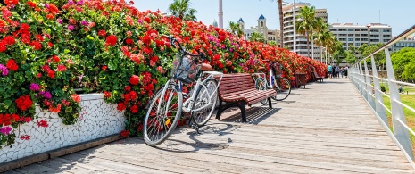 Bicycle on a bridge in the Turia Gardens in Valencia, Valencian Community Bicycle on a bridge in the Turia Gardens in Valencia, Valencian Community