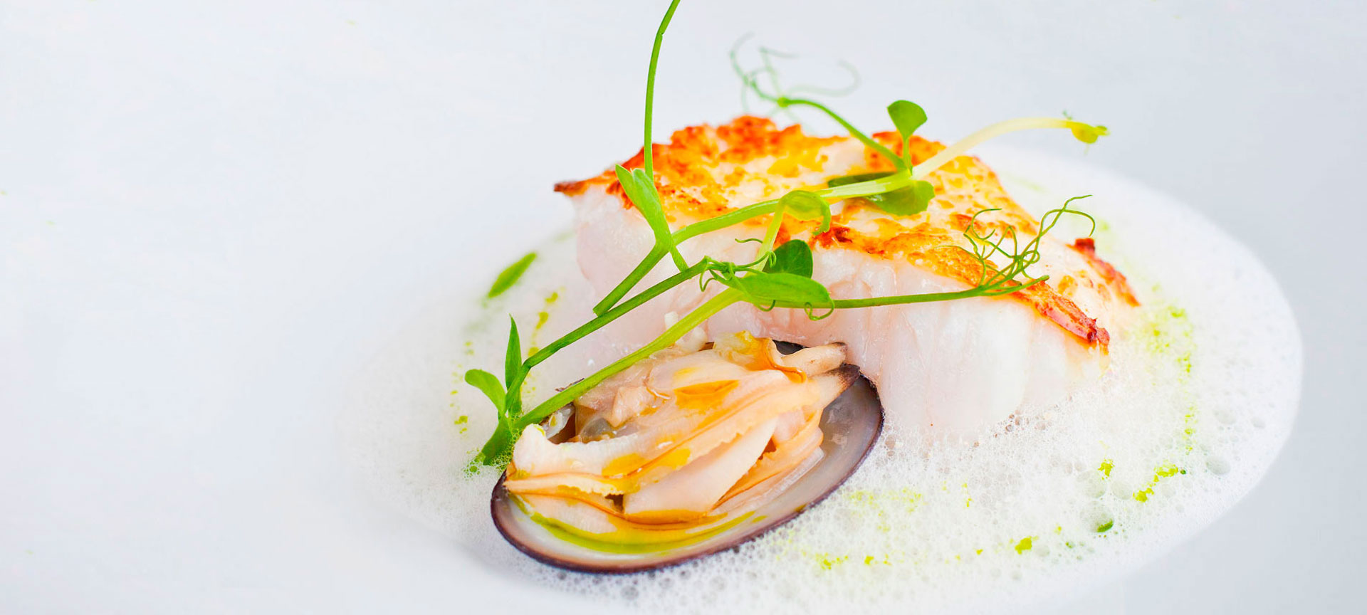 Autorenküche: Weißfisch und Meeresfrüchte