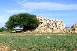Three talayots from the Talaiotic settlement at Montefí, Ciudadela, Menorca
