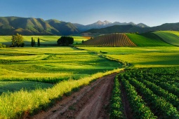 Paisagens de La Rioja