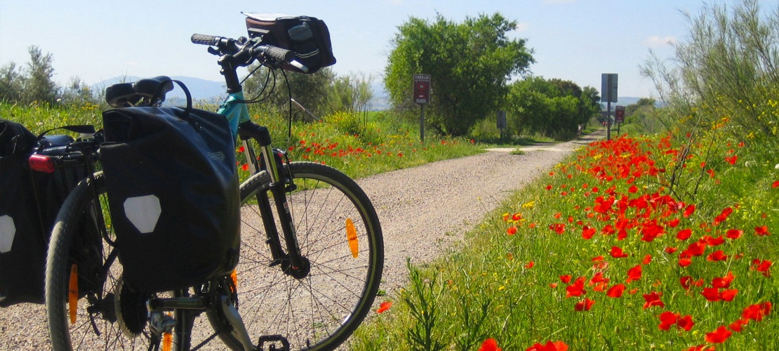 Zielona Trasa Vía verde rowerem Zielona Trasa Vía verde rowerem