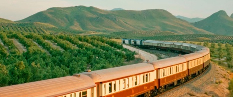 Tren Al Ándalus Tren Al Ándalus