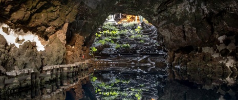 Underground lake in Los Jameos del Agua, Lanzarote Underground lake in Los Jameos del Agua, Lanzarote