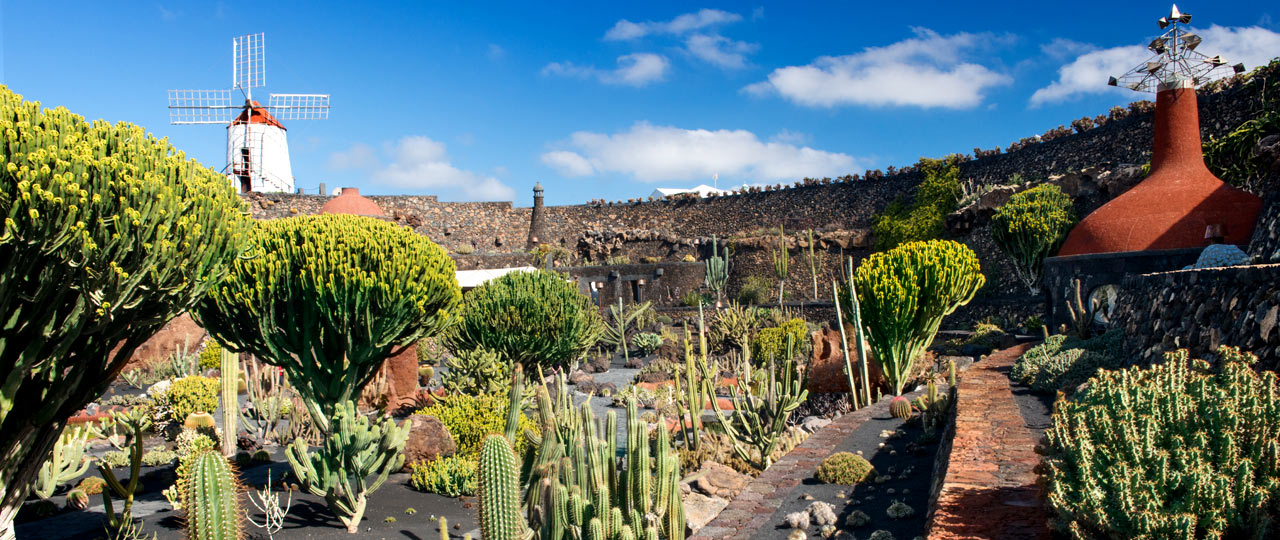 Cactus Garden, Lanzarote