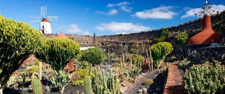 Cactus Garden, Lanzarote Cactus Garden, Lanzarote