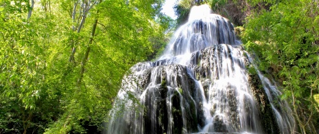 Wodospad Trinidad na Obszarze Chronionego Krajobrazu Monasterio de Piedra, Aragonia Wodospad Trinidad na Obszarze Chronionego Krajobrazu Monasterio de Piedra, Aragonia