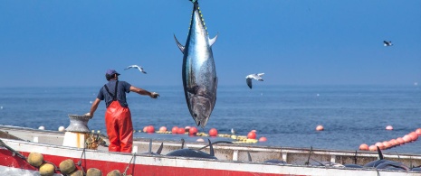 Giornata di pesca nella Tonnara Giornata di pesca nella Tonnara